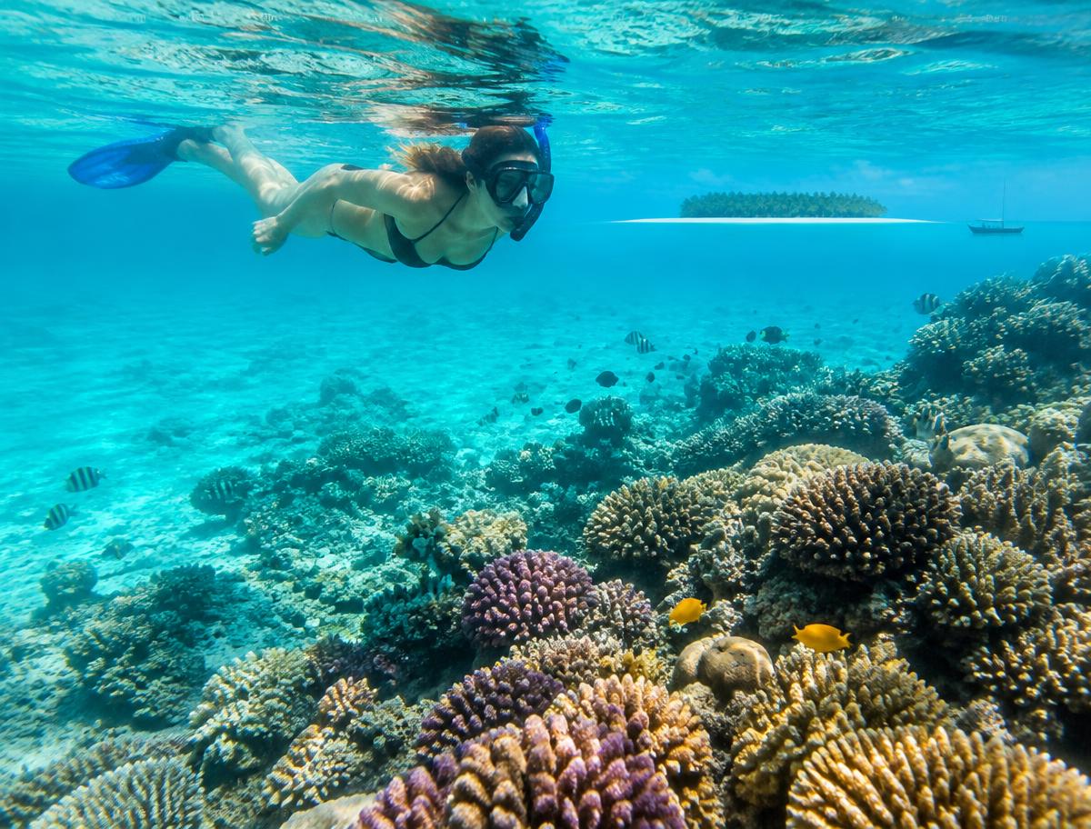 Snorkeling at Mnemba